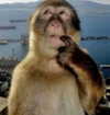 gabrielabee Altpins Profile Picture
