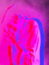emmaaurora Altpins Profile Picture