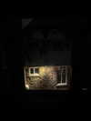 reneeebeller Altpins Profile Picture