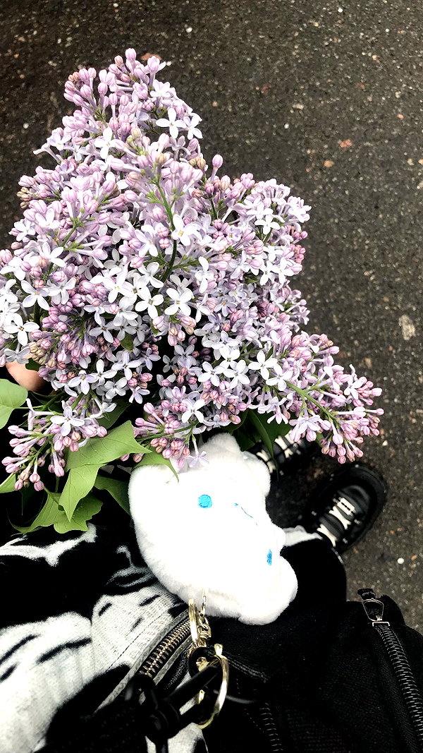 menorixqq instagram image archive image