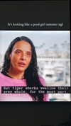gabbyepstein Altpins Profile Picture