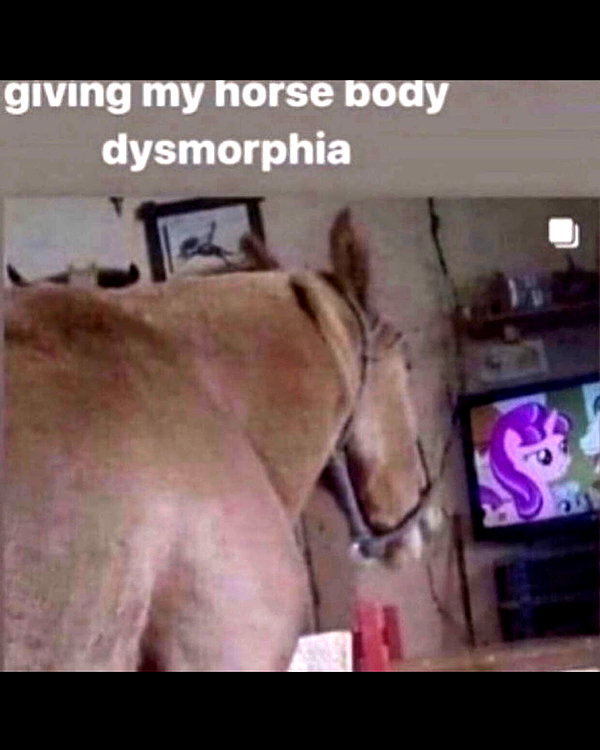 leanbeefpatty instagram image archive image