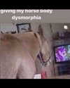 leanbeefpatty Altpins Profile Picture
