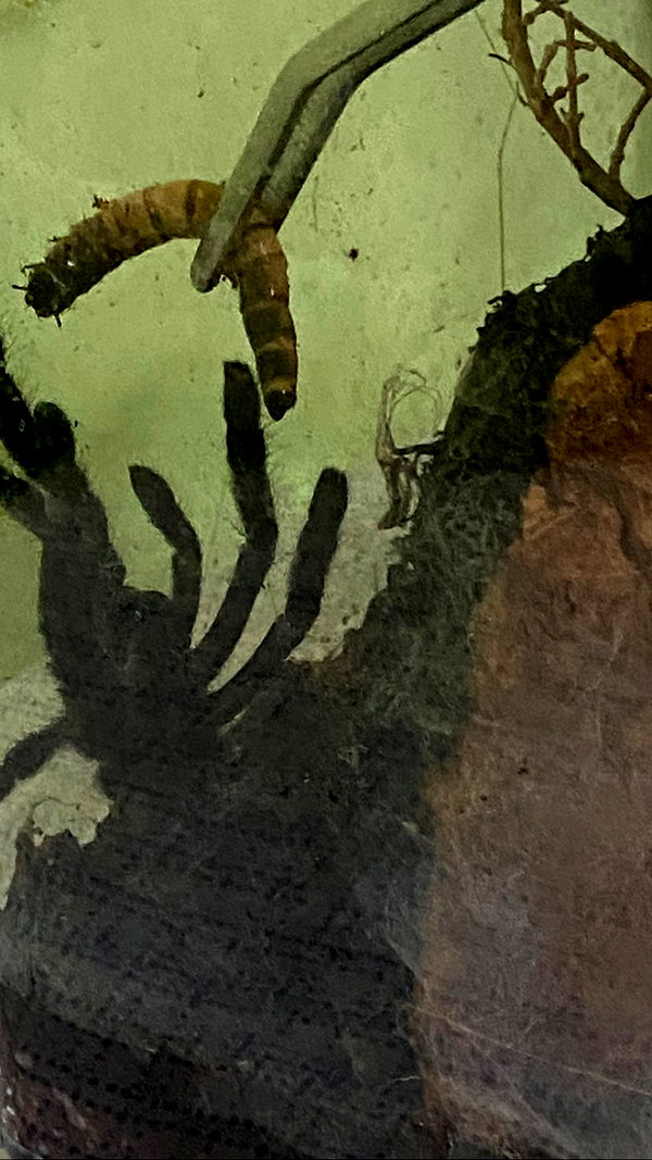 vampiryska vampiryska archive image