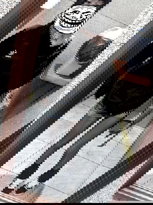 starttles starttles archive image