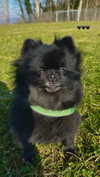 nina.kxs Altpins Profile Picture