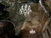 forestowwwl Altpins Profile Picture