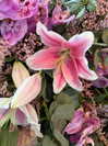lindsaylohan Altpins Profile Picture