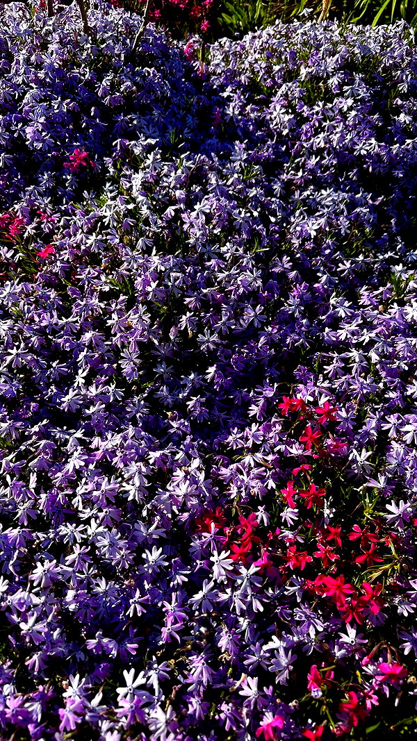 drowsylio instagram image archive image