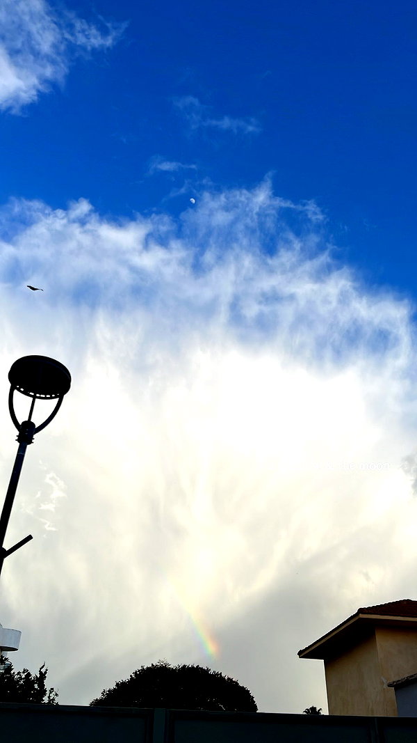 yaelxyazdi instagram image archive image