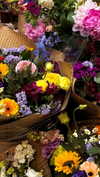 libby_reut Altpins Profile Picture