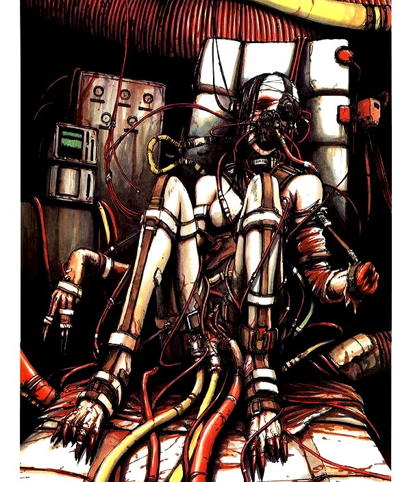 xxk1tty4nnaxx xxk1tty4nnaxx archive image