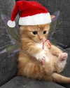 catl0verr69 Altpins Profile Picture