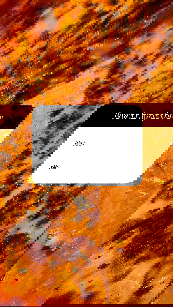 m1ry2m_ m1ry2m_ archive image