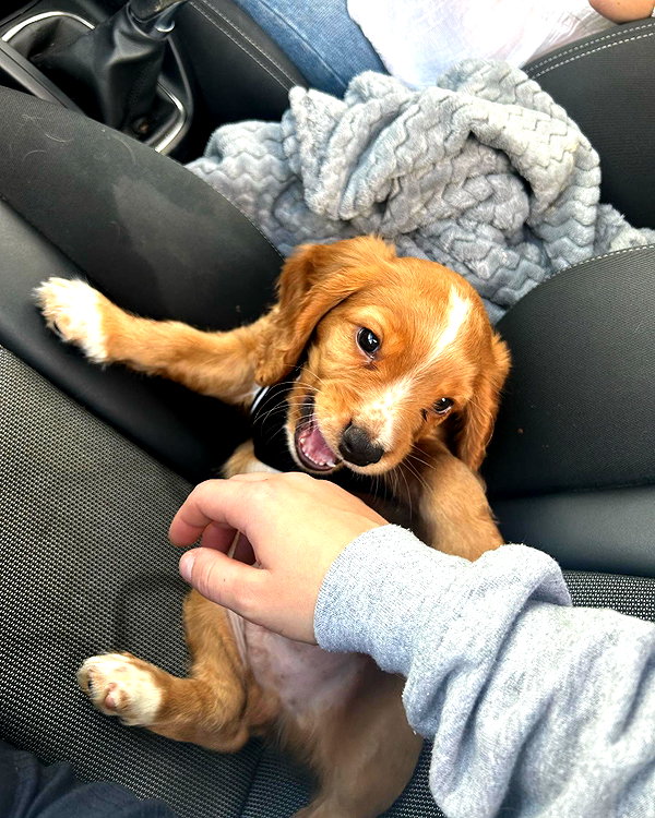 charley.chambers instagram image archive image