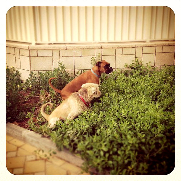 adihimelbloy instagram image archive image