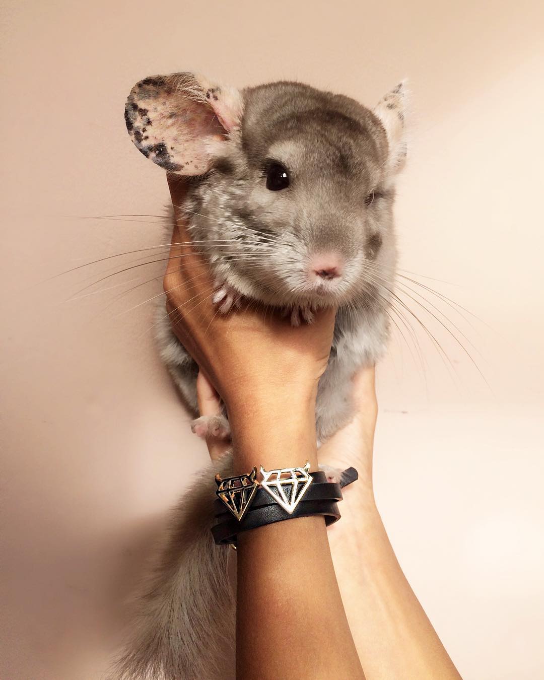 kkulakovaa instagram image archive image