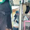 hyeweon__ Altpins Profile Picture