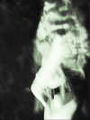 shvuty__ Altpins Profile Picture
