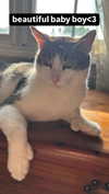 malmalirl Altpins Profile Picture