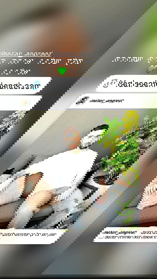 _._dianush._ _._dianush._ archive image