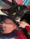 pikakaty Altpins Profile Picture