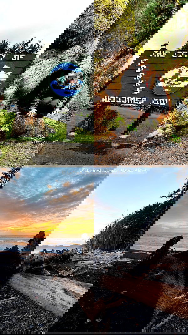 taylor.creeden taylor.creeden archive image