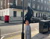 luciaaferrato Altpins Profile Picture