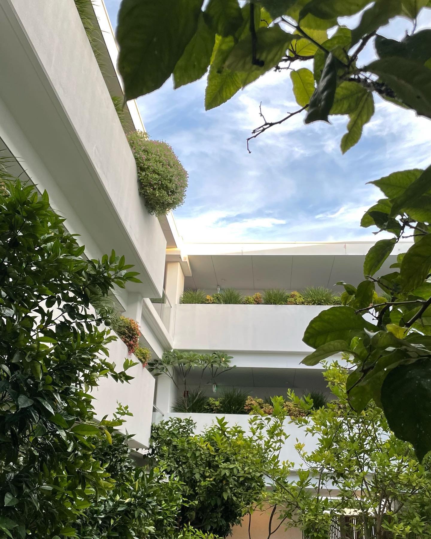 jtilb2 instagram image archive image