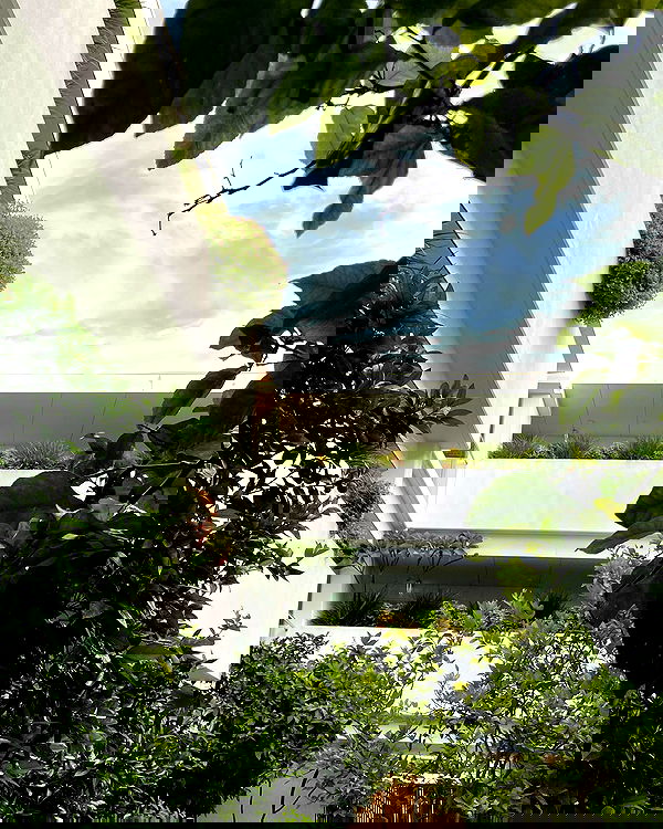 jtilb2 image ~ Altpins