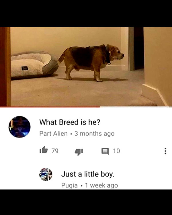 leanbeefpatty instagram image archive image