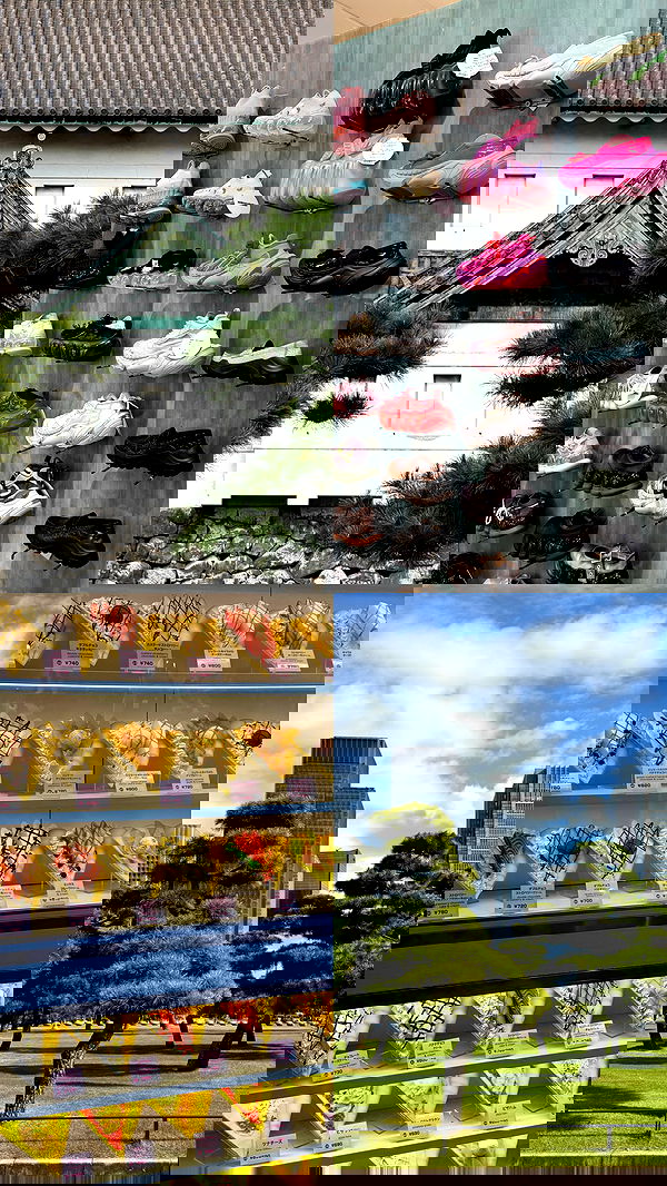 taylor.creeden taylor.creeden archive image