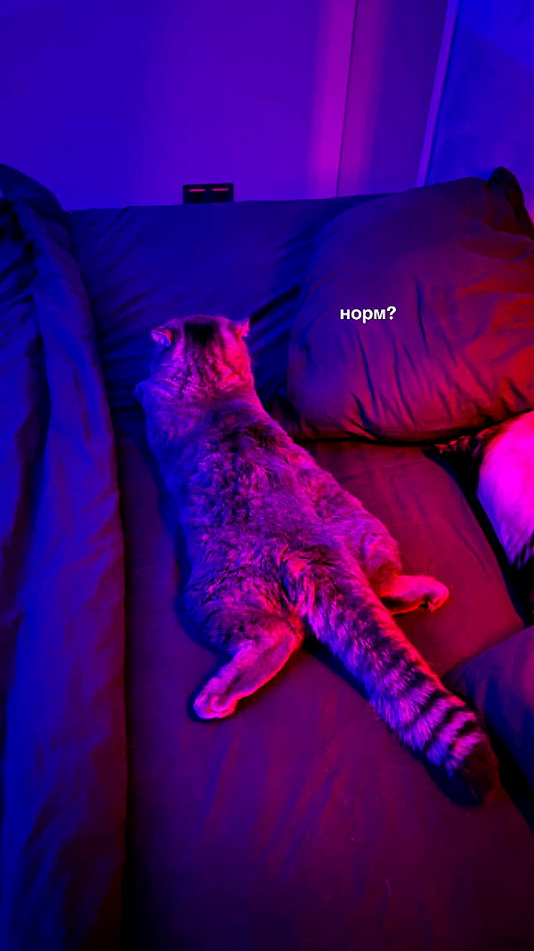 amatveyko instagram image archive image