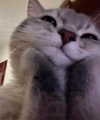 nyxaainaaa_ Altpins Profile Picture