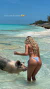 payton.r Altpins Profile Picture