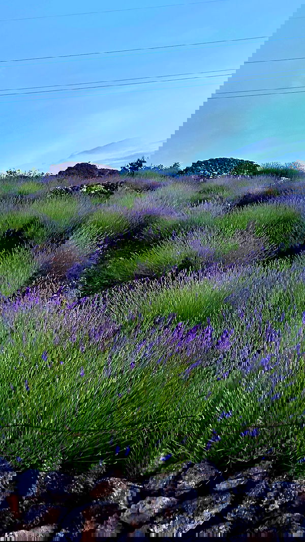 taylor.creeden taylor.creeden archive image