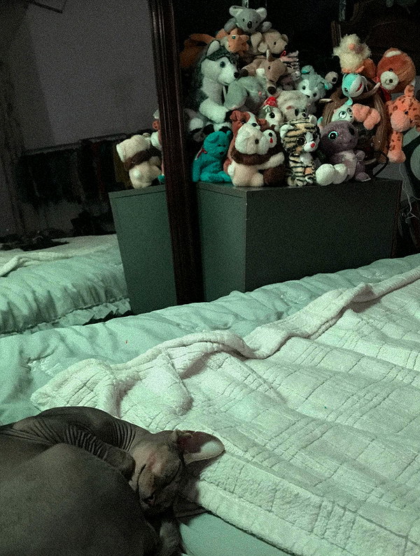 zommmbri instagram image archive image