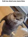 ellaexplicit_ Altpins Profile Picture