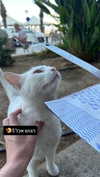 mishel116 Altpins Profile Picture