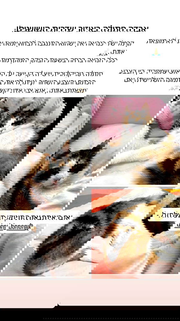 laluzone laluzone archive image