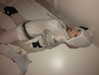 rchhhll Altpins Profile Picture