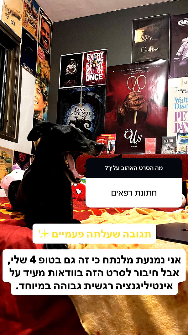 onlmeow instagram image archive image