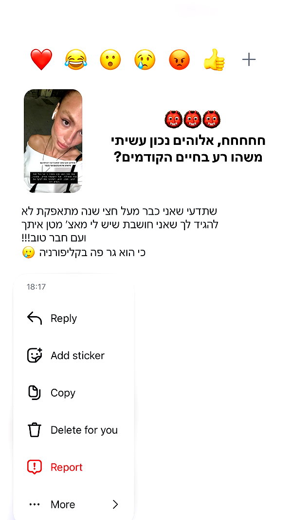 justlerman instagram image archive image