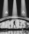 dualipa Altpins Profile Picture