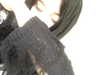 moonliliaght Altpins Profile Picture