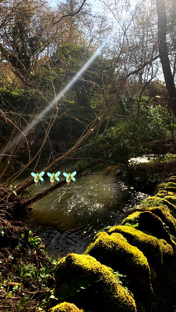 mollieruck instagram image archive image
