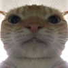 cannonstheband Altpins Profile Picture