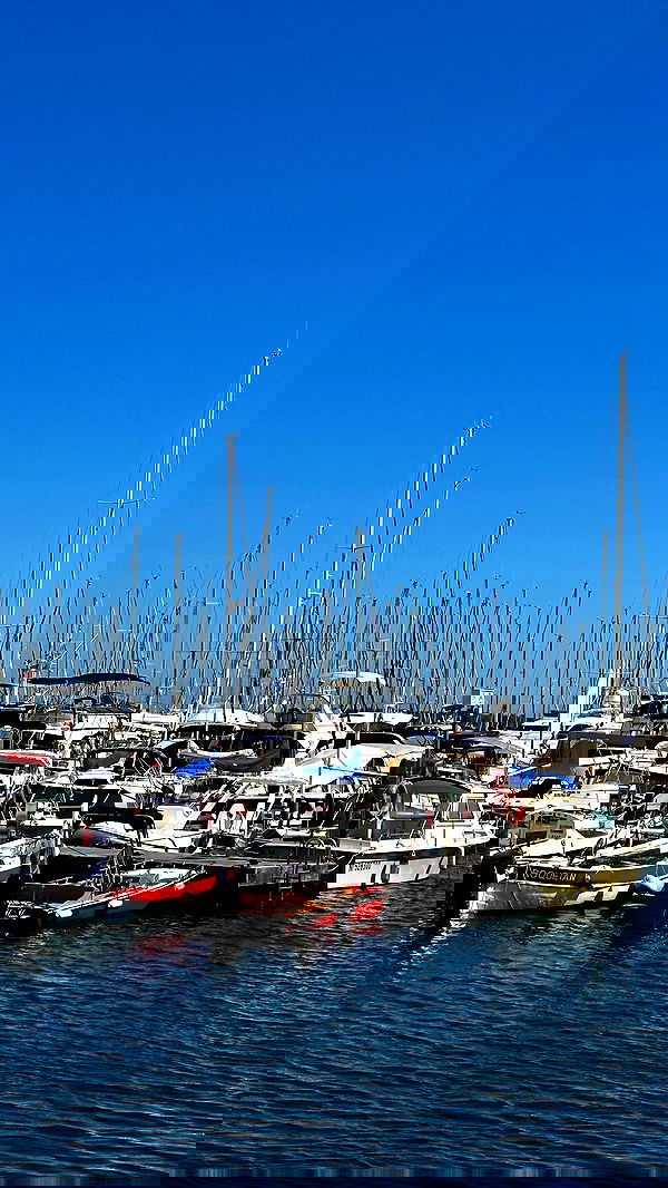 taylor.creeden taylor.creeden archive image