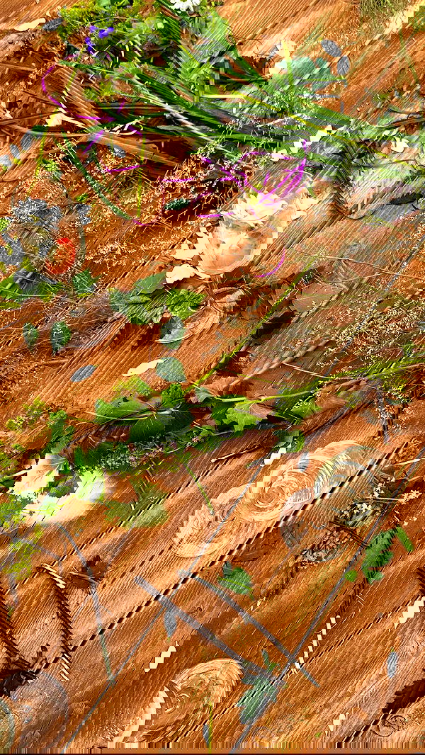 taylor.creeden taylor.creeden archive image