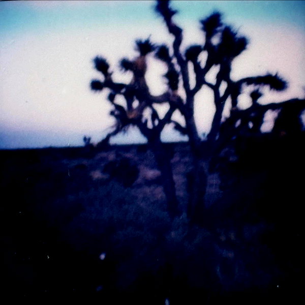 leonanaomii instagram image archive image